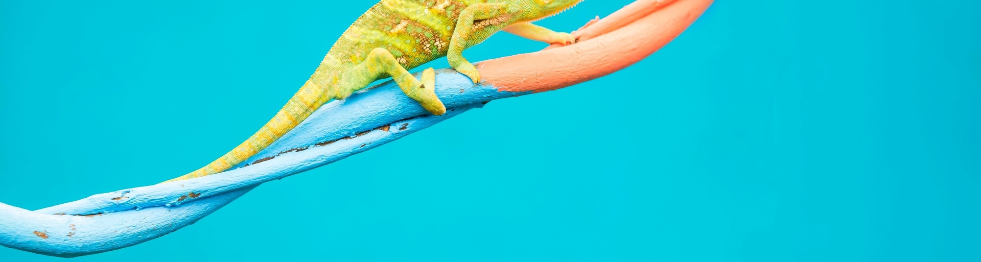 Models and Approaches to Organisational Change